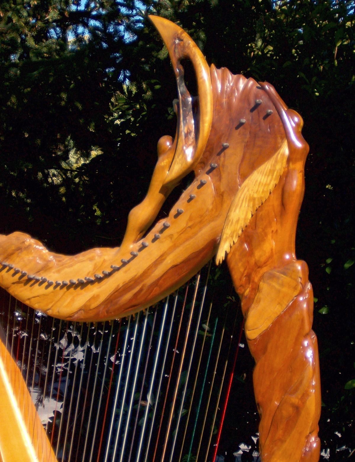 Mountain Glen Harps uses sustainably grown and harvested woods in all our custom harps